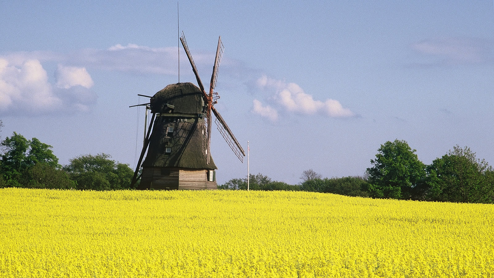 langkey.IMAGE-ALT